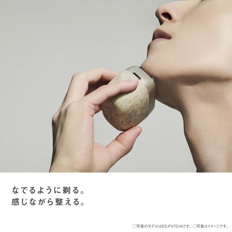 ES-PV70剃り方