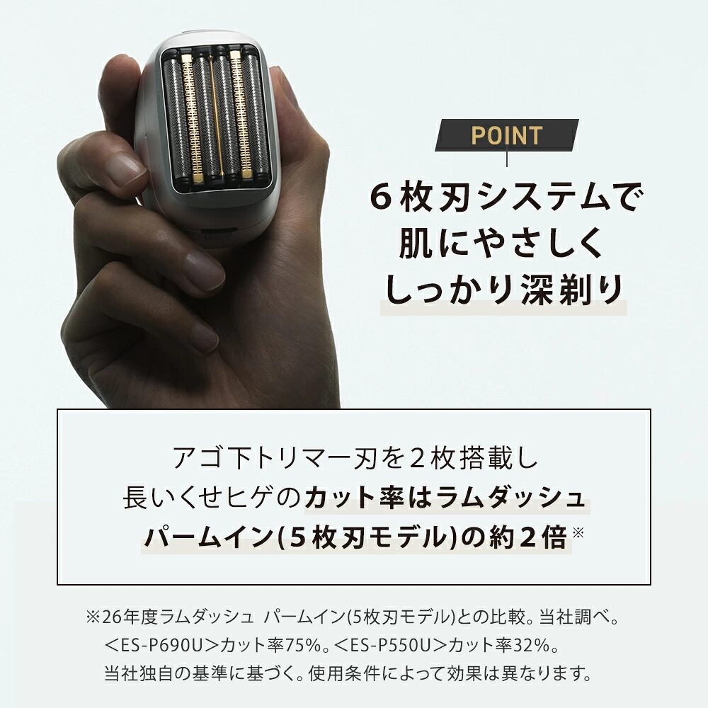 ラムダッシュパームインPROの6枚刃システム